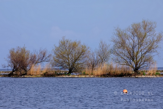 Dutch_landscape_nederlandse_landschap_spring_lente_nature_Photography_196_Canon_EOS_5D_Mark_IV.JPG