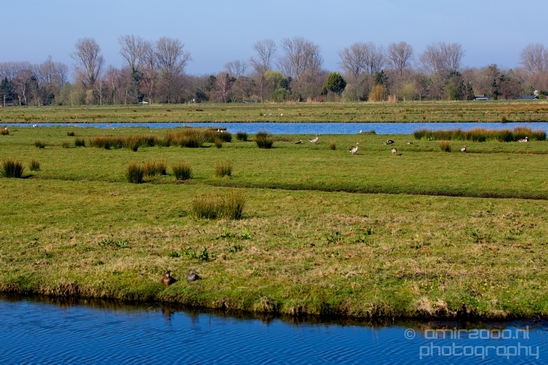 Dutch_landscape_nederlandse_landschap_spring_lente_nature_Photography_236_Canon_EOS_5D_Mark_IV.JPG