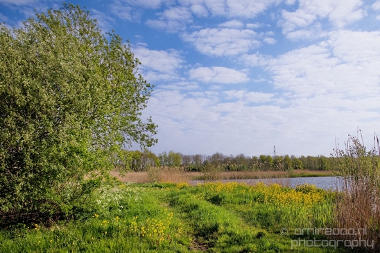 Dutch_landscape_nederlandse_landschap_spring_lente_nature_Photography_249_Canon_EOS_5D_Mark_IV.JPG