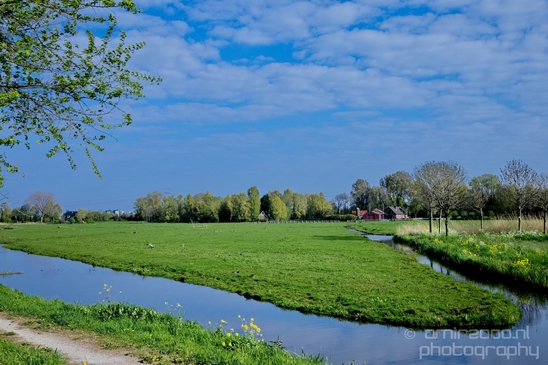 Dutch_landscape_nederlandse_landschap_spring_lente_nature_Photography_253_Canon_EOS_5D_Mark_IV.JPG