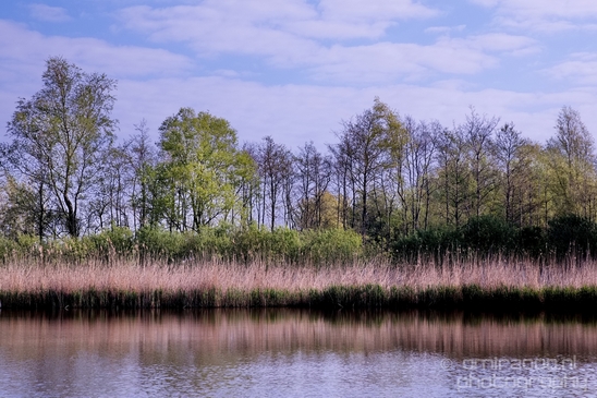 Dutch_landscape_nederlandse_landschap_spring_lente_nature_Photography_256_Canon_EOS_5D_Mark_IV.JPG