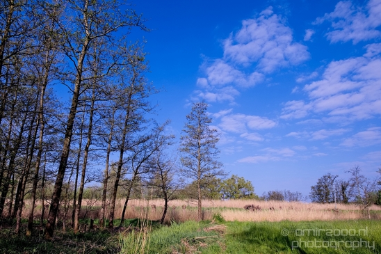 Dutch_landscape_nederlandse_landschap_spring_lente_nature_Photography_257_Canon_EOS_5D_Mark_IV.JPG