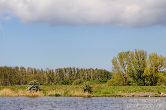 Dutch_landscape_nederlandse_landschap_spring_lente_nature_Photography_266_Canon_EOS_5D_Mark_IV.JPG