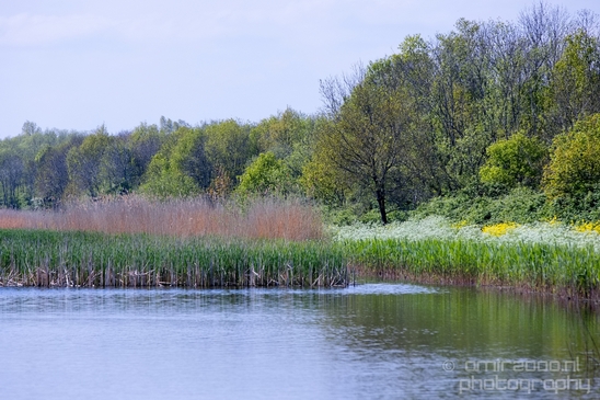 Dutch_landscape_nederlandse_landschap_spring_lente_nature_Photography_274_Canon_EOS_5D_Mark_IV.JPG