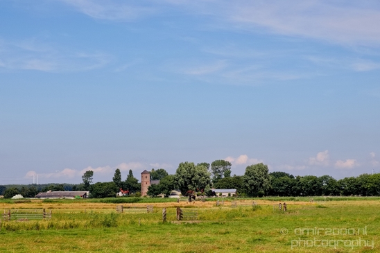 Dutch_landscape_nederlandse_landschap_summer_72.JPG