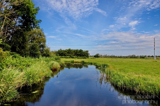Dutch_landscape_nederlandse_landschap_summer_73.JPG