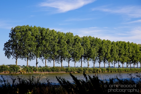 Dutch_landscape_nederlandse_landschap_summer_91.JPG