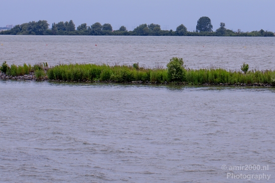 Dutch_landscape_nederlandse_landschap_summer_Nature_Photography_003_Canon_EOS_5D_Mark_IV.JPG