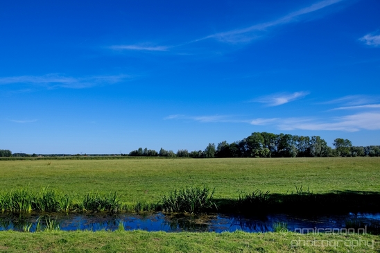 Dutch_landscape_nederlandse_landschap_summer_Nature_Photography_008_Canon_EOS_5D_Mark_IV.JPG
