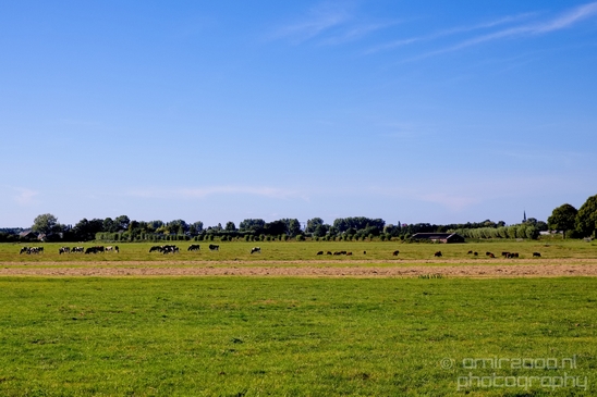 Dutch_landscape_nederlandse_landschap_summer_Nature_Photography_009_Canon_EOS_5D_Mark_IV.JPG
