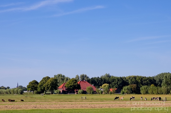Dutch_landscape_nederlandse_landschap_summer_Nature_Photography_010_Canon_EOS_5D_Mark_IV.JPG