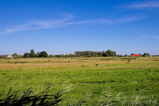Dutch_landscape_nederlandse_landschap_summer_Nature_Photography_011_Canon_EOS_5D_Mark_IV.JPG