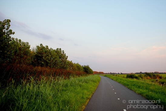 Dutch_landscape_nederlandse_landschap_summer_Nature_Photography_014_Canon_EOS_5D_Mark_IV.JPG