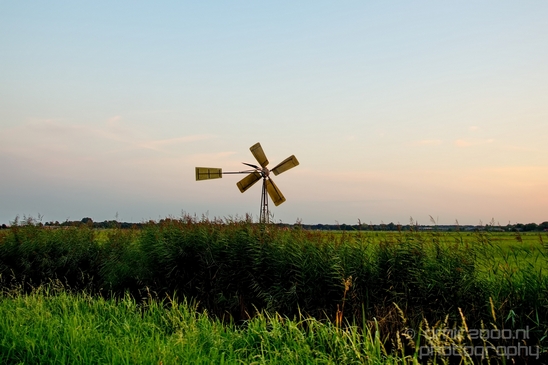 Dutch_landscape_nederlandse_landschap_summer_Nature_Photography_015_Canon_EOS_5D_Mark_IV.JPG