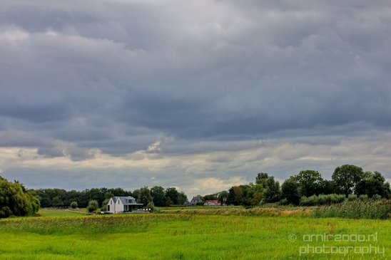 Dutch_landscape_nederlandse_landschap_summer_Nature_Photography_016_Canon_EOS_5D_Mark_IV.JPG