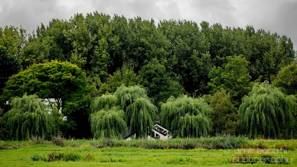 Dutch_landscape_nederlandse_landschap_summer_Nature_Photography_017_Canon_EOS_5D_Mark_IV.JPG