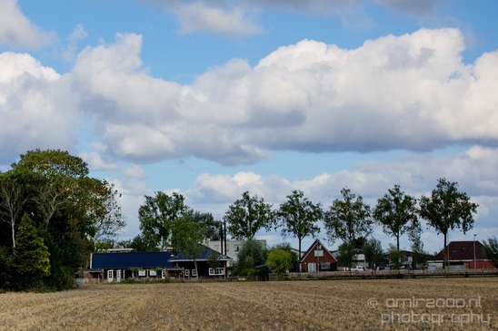 Dutch_landscape_nederlandse_landschap_summer_Nature_Photography_019_Canon_EOS_5D_Mark_IV.JPG