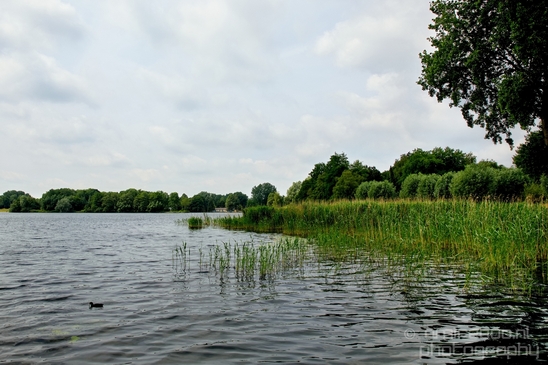 Dutch_landscape_nederlandse_landschap_summer_Nature_Photography_023_Canon_EOS_5D_Mark_IV.JPG