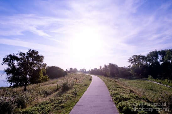 Dutch_landscape_nederlandse_landschap_summer_Nature_Photography_025_Canon_EOS_5D_Mark_IV.JPG