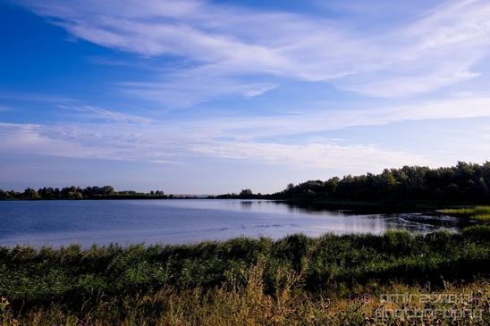 Dutch_landscape_nederlandse_landschap_summer_Nature_Photography_026_Canon_EOS_5D_Mark_IV.JPG