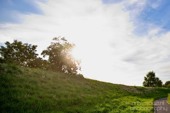 Dutch_landscape_nederlandse_landschap_summer_Nature_Photography_029_Canon_EOS_5D_Mark_IV.JPG