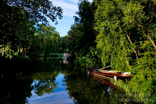 Dutch_landscape_nederlandse_landschap_summer_Nature_Photography_030_Canon_EOS_5D_Mark_IV.JPG