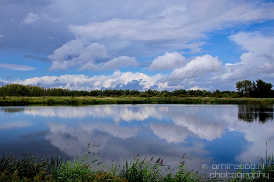 Dutch_landscape_nederlandse_landschap_summer_Nature_Photography_032_Canon_EOS_5D_Mark_IV.JPG