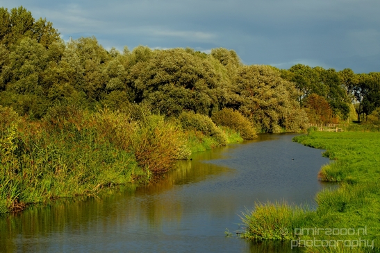 Dutch_landscape_nederlandse_landschap_summer_Nature_Photography_037_Canon_EOS_5D_Mark_IV.JPG