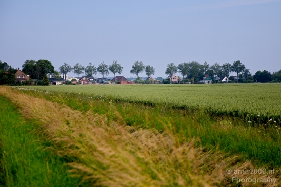 Dutch_landscape_nederlandse_landschap_summer_Nature_Photography_038_Canon_EOS_5D_Mark_IV.JPG