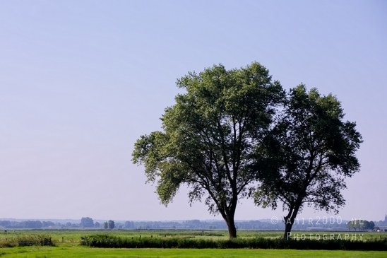 Dutch_landscape_nederlandse_landschap_summer_Nature_Photography_047_Canon_EOS_5D_Mark_IV.JPG