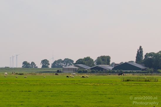 Dutch_landscape_nederlandse_landschap_summer_Nature_Photography_061_Canon_EOS_5D_Mark_IV.JPG