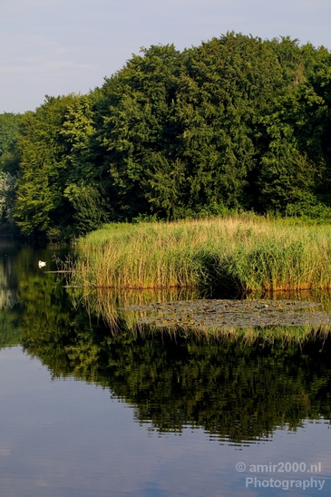 Dutch_landscape_nederlandse_landschap_summer_Nature_Photography_069_Canon_EOS_5D_Mark_IV.JPG
