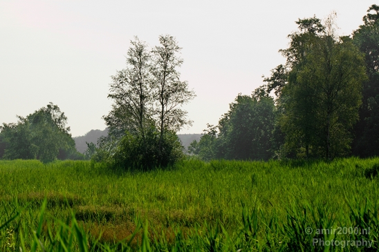 Dutch_landscape_nederlandse_landschap_summer_Nature_Photography_077_Canon_EOS_5D_Mark_IV.JPG