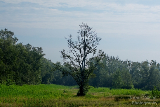 Dutch_landscape_nederlandse_landschap_summer_Nature_Photography_078_Canon_EOS_5D_Mark_IV.JPG