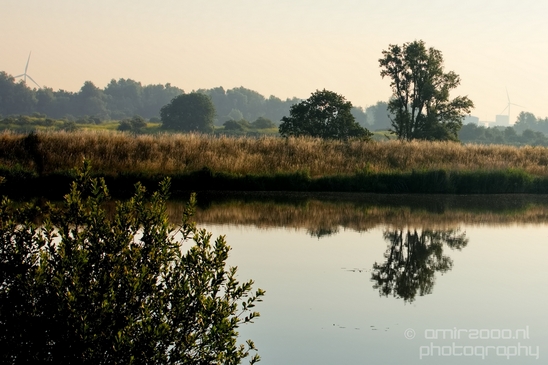 Dutch_landscape_nederlandse_landschap_summer_Nature_Photography_095_Canon_EOS_5D_Mark_IV.JPG