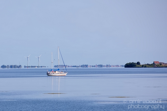 Dutch_landscape_nederlandse_landschap_summer_Nature_Photography_104_Canon_EOS_5D_Mark_IV.JPG