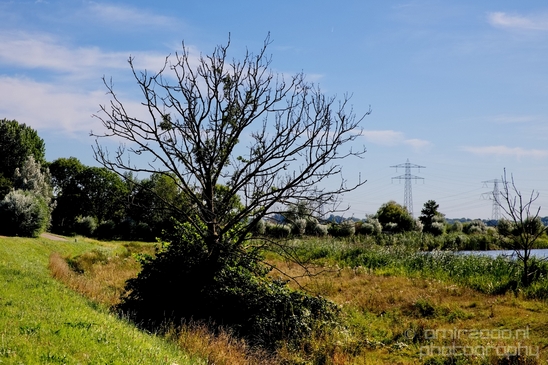 Dutch_landscape_nederlandse_landschap_summer_Nature_Photography_111_Canon_EOS_5D_Mark_IV.JPG