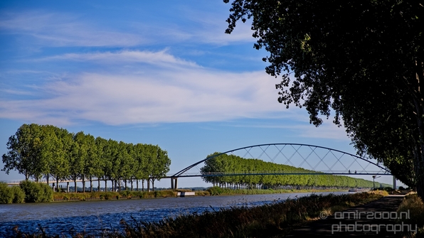 Dutch_landscape_nederlandse_landschap_summer_Nature_Photography_115_Canon_EOS_5D_Mark_IV.JPG