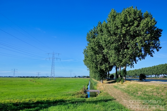 Dutch_landscape_nederlandse_landschap_summer_Nature_Photography_118_Canon_EOS_5D_Mark_IV.JPG