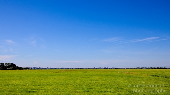 Dutch_landscape_nederlandse_landschap_summer_Nature_Photography_119_Canon_EOS_5D_Mark_IV.JPG