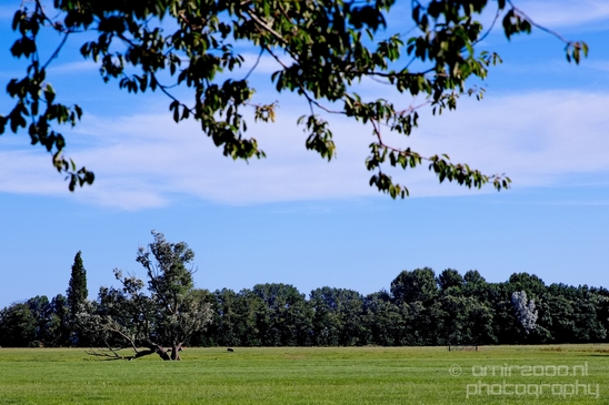 Dutch_landscape_nederlandse_landschap_summer_Nature_Photography_121_Canon_EOS_5D_Mark_IV.JPG