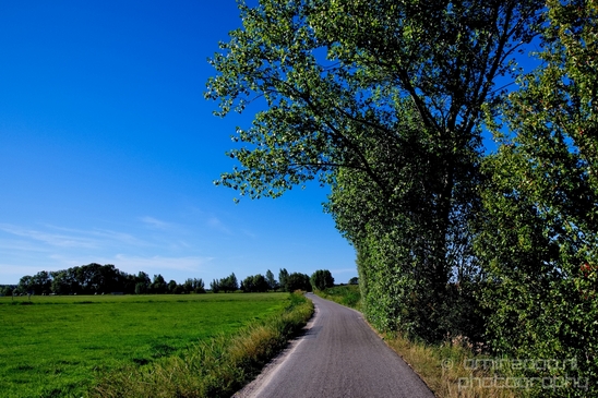 Dutch_landscape_nederlandse_landschap_summer_Nature_Photography_123_Canon_EOS_5D_Mark_IV.JPG