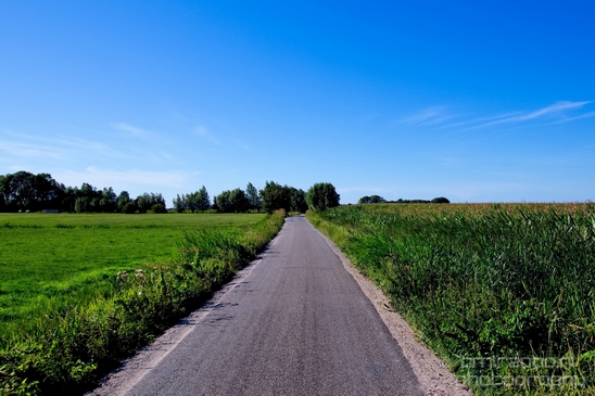 Dutch_landscape_nederlandse_landschap_summer_Nature_Photography_124_Canon_EOS_5D_Mark_IV.JPG