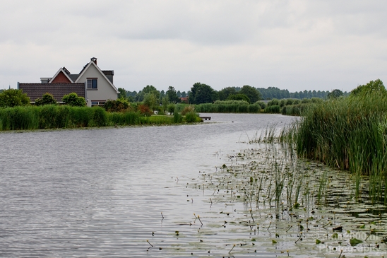 Dutch_landscape_nederlandse_landschap_summer_Photography_006_Canon_EOS_5D_Mark_IV.JPG