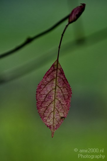 Fall_colors_Nature_Landscape_Photography_035_Canon_EOS_7D.JPG