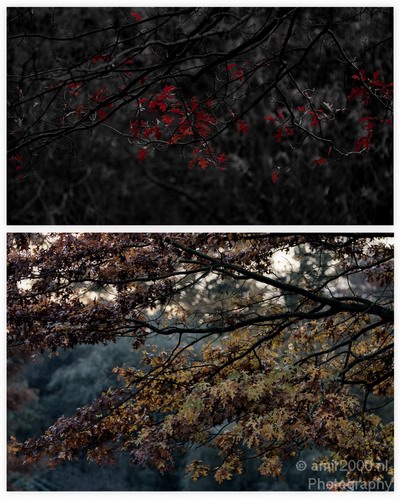 Fall_colors_Nature_Landscape_Photography_066_Canon_EOS_7D.JPG