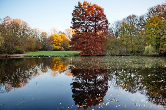 Fall_scenery_Autumn_in_Amsterdam_nature_Netherlands_Landscape_Photography_009_Canon_EOS_5D_Mark_IV.JPG