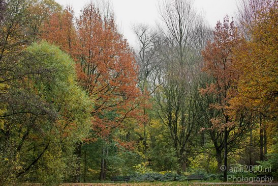 Fall_scenery_Autumn_in_Amsterdam_nature_Netherlands_Landscape_Photography_012_Canon_EOS_5D_Mark_IV.JPG