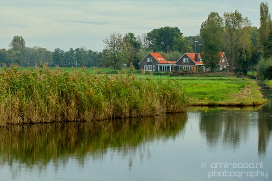 Fall_scenery_Autumn_in_Amsterdam_nature_Netherlands_Landscape_Photography_026_Canon_EOS_5D_Mark_IV.JPG