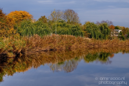 Fall_scenery_Autumn_in_Amsterdam_nature_Netherlands_Landscape_Photography_031_Canon_EOS_5D_Mark_IV.JPG